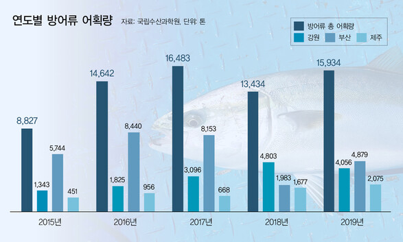 그래픽_진보람