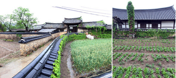 전남 담양 창평면 삼지내마을 '슬로우시티'