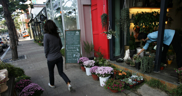 갤러리가 하나둘씩 생겨났다.