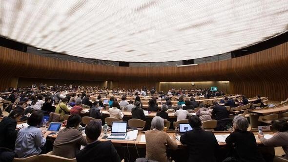 The United Nations Committee on the Elimination of Discrimination against Women (CEDAW)