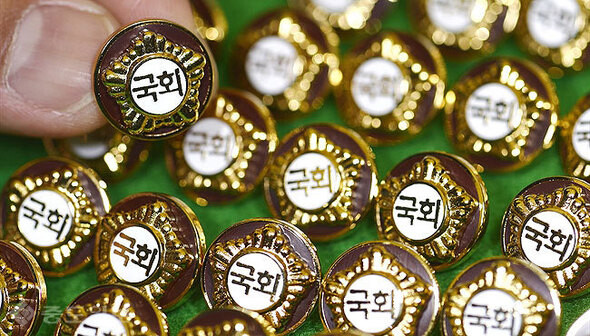 The badges worn by lawmakers. The Korean text on them is the word for the National Assembly.
