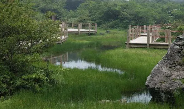 ‘1100 고지습지’ 람사르 습지 등록