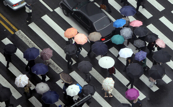 비가 오면 사람들은 우산을 펴든다. 사구려 우산은 사실상 일회용이다. 우산업체 관계자는 