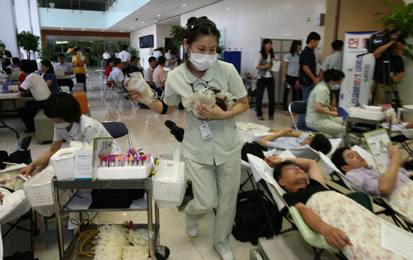 » 한국에서도 헌혈자는 감소 추세에 있다. 무수혈 치료의 사회적 중요성도 함께 주목받고 있다. 2009년 9월4일, 서울 서초구청 현관에서 구청 직원과 주민들이 헌혈을 하고 있다. 한겨레 이종근 