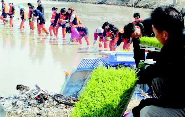 First rice planting