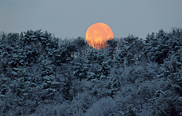 눈꽃이 하얗게 핀 서산으로 붉은 보름달이 지고 있다.