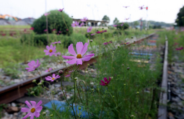 간이역.