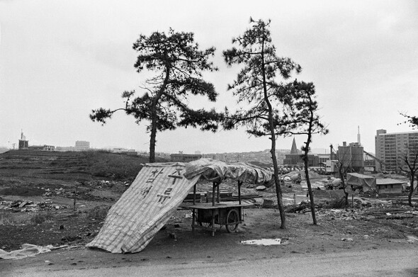 1981년 지금은 아파트촌으로 변한 서울 강남구 압구정동 풍경.