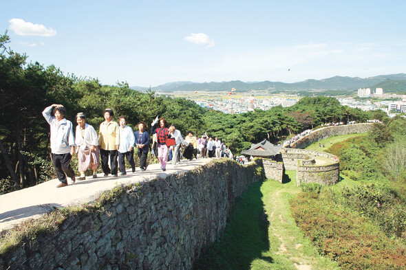 복분자 열매.