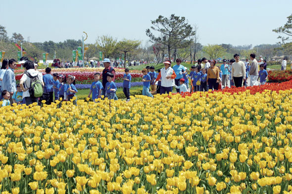 2002년 안면도 국제꽃박람회 모습. 충청남도 제공
