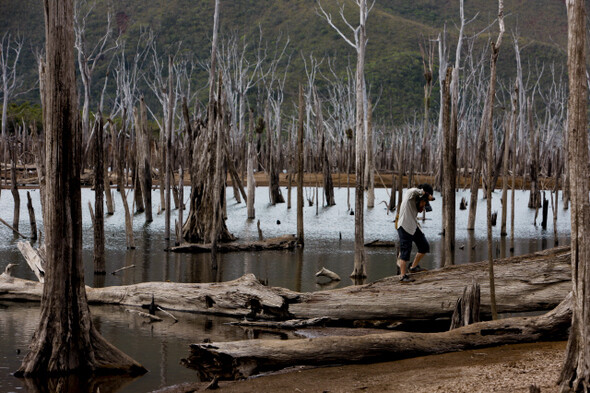 유정열씨가 10월1일 뉴칼레도니아 야떼 지역의 ‘물에 잠긴 숲‘에서 사진을 찍고 있다.