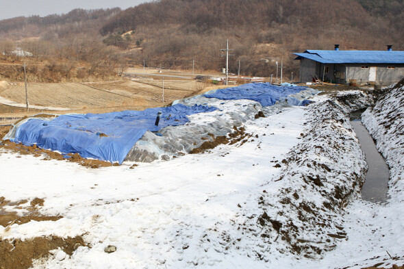 2011년 국토가 거대한 무덤이다. 동토 아래 도처에 소·돼지 335만여 마리가 묻혔다. 한겨레 정용일 기자