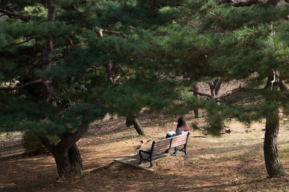 고대 그리스에서 책 읽기는 원래 낭독이고 대화였다. 인쇄술의 발달로 책이 휴대 가능한 상품이 되면서 독서는 개인의 즐거움으로 의미가 퇴색됐고 독자는 수동적인 소비자로 전락했다. 박승화 기자