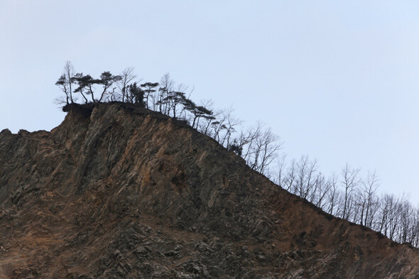물에 잠길 도로를 대신해 만드는 순환도로는 나무를 잘라내고 산을 깎은 자리에 들어선다. 건설 중인 순환도로 뒤편 산비탈에 나무가 위태롭게 서 있다.
