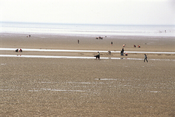 아빠, 지도 그릴 때 밀물이 기준이야, 썰물이 기준이야?. 한겨레 강재훈 기자