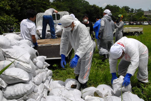 » 지난 7월24일 의사·교원 상공인 등으로 이뤄진 니가타의 30~40대 동포 80여명이 후쿠시마를 찾아 직접 방사능 제거 작업을 거들고 있다. NPO 우리학교 제공