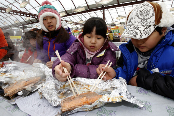 송어축제에 참가한 어린이들이 자신이 잡은 송어를 구워 맛있게 먹고 있다.