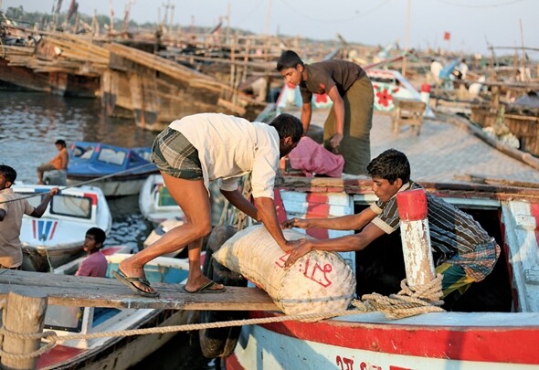 방글라데시 콕스 바자르의 한 선착장에서 젊은이들이 일하고 있다. 로힝야 난민이 많이 사는 이 지역의 저임금 시장은 로힝야 난민의 불법노동으로 대거 채워진다. 이유경