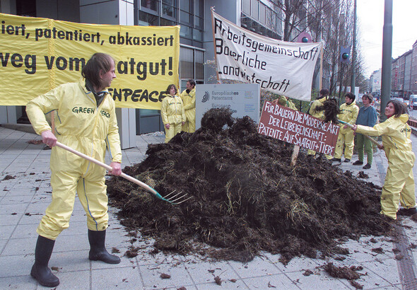환경단체 그린피스 회원들이 미국 농식품복합체 몬샌토의 유전자조작 종자 특허권 획득 계획에 반발해 독일 뮌헨의 유럽특허청 앞에서 비료를 버리는 시위를 하고 있다. REUTERS