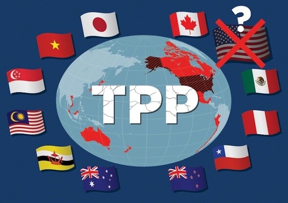 The 11 member countries of the Trans-Pacific Partnership