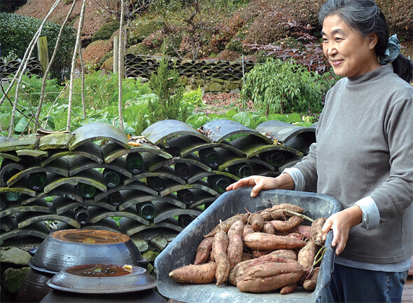 수확한 고구마 앞에서 득의만만한 미소를 짓고 있는 아내 이준숙.강명구 제공