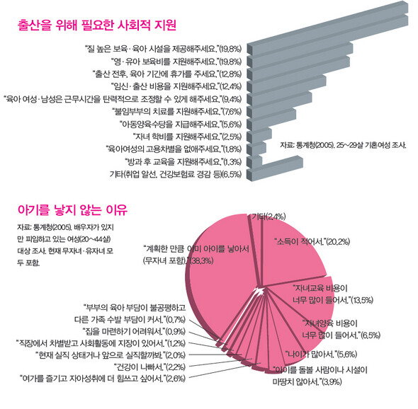 출산을 위해 필요한 사회적 지원/아기를 낳지 않는 이유