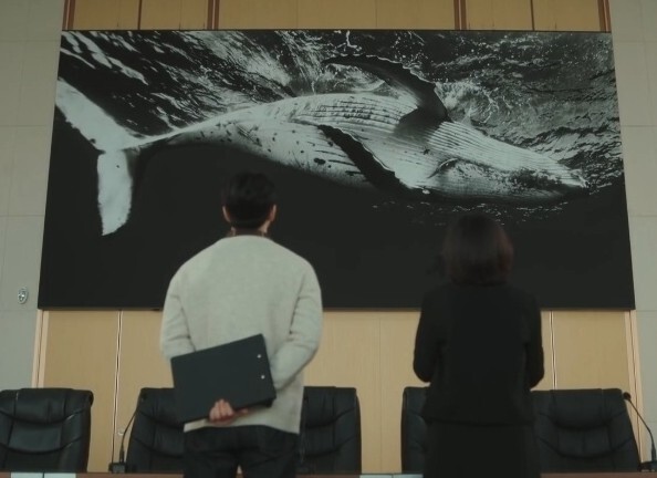 &lt;이상한 변호사 우영우&gt; 속 ‘법무법인 한바다’의 고래 사진. 영상 갈무리