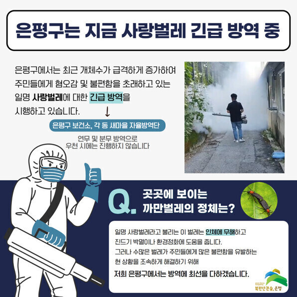 지난달 서울 은평구청은 ‘사랑벌레’(러브버그)에 대해 긴급 방역을 시행했다. 은평구청 제공