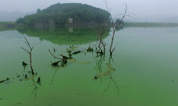 한겨레 이정아 기자