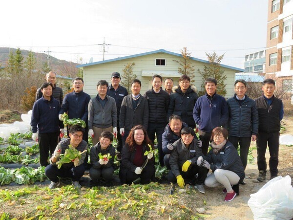 A cabbage field that South and North Korean staffers at the Inter-Korean Liaison Office tended together. (provided by Park Jin-won)