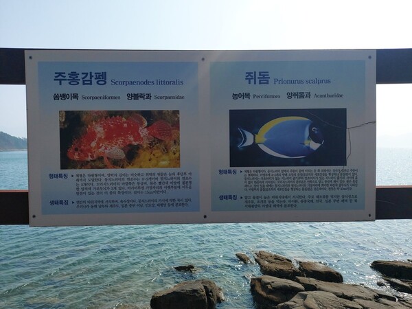 비토 해양낚시공원 데크길 난간엔 온갖 물고기를 설명하는 안내판이 빼곡하다. 김선식 기자