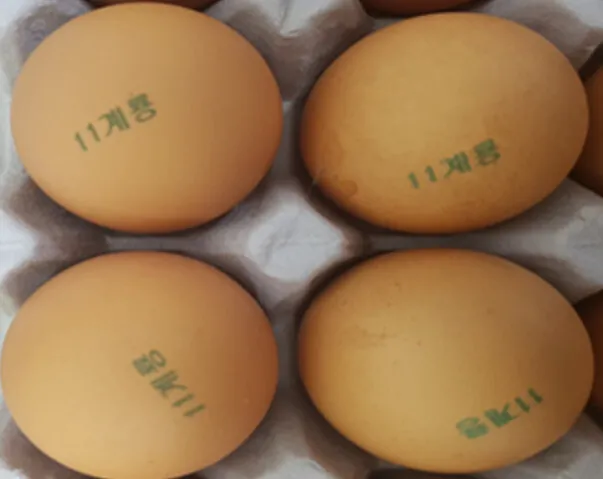 살충제 기준치를 초과한 달걀 생산한 농가 4곳 드러나
