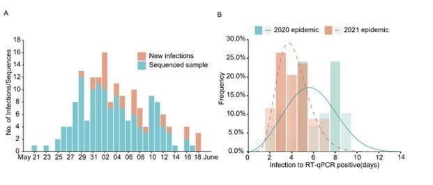 The graph on the right shows that the Delta variant (brown) takes fewer days to be detected in testing than previous strains of the virus. (Virological screenshot)