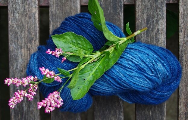 염료식물 ‘쪽’은 마디풀과 여뀌속에 속하는 한해살이풀이다. 비슷하게 생긴 여뀌와 견줘 잎이 둥글넓적하다. 한여름에 꽃이 핀다. 꽃 피기 직전에 수확해서 쪽물을 얻는다. 출처 Ashley Walker