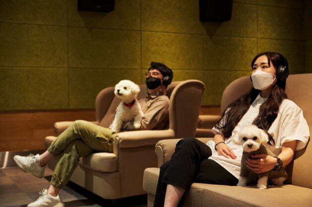반려동물 컬쳐 브랜드 ‘어나더베이비’와 메가박스가 손잡고 개관한 반려견 동반 전용 영화관 '퍼피 시네마'의 모습. 어나더베이비 제공