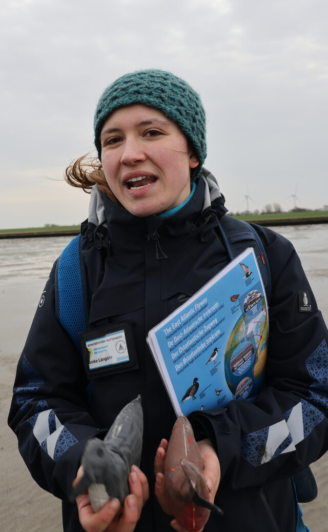 후줌 국립공원바덴해센터에서 자원봉사를 하는 아니카 랑고어가 룬덴베르크잔트 앞 바덴해 갯벌을 찾아오는 철새들에 대해 설명하고 있다.