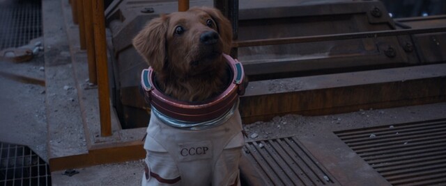 Cosmo, um cachorro com telecinesia, fala sobre a União Soviética enviando um cachorro ao espaço em um satélite como se fosse sua própria história.  Cortesia de The Walt Disney Company Korea