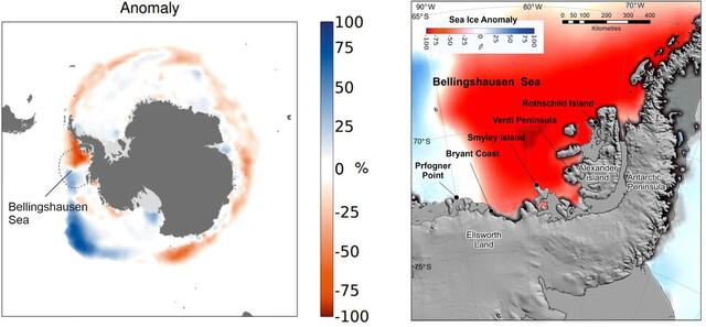 Condições do gelo marinho no Mar de Bellinghausen em novembro do ano passado (esquerda).  Azul indica condições normais e vermelho indica condições negativas de gelo.  À direita está a colônia de pinguins imperadores observada pela equipe de pesquisa.  A partir da esquerda: Frogner Point, Bryant Bay, Smiley Island, Verde Peninsula e Rothschild Island.  Cortesia de Peter Fretwell, Instituto Britânico de Pesquisa Antártica