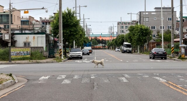 인적 없는 군산 오식도동 원룸촌 거리