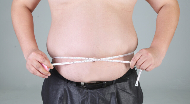 통상 비만이 만성질환의 주요 원인이라고 간주되지만, 비만과 대사질환의 원인이 따로 있다는 게 이 책의 요점이다. &lt;한겨레&gt; 자료사진