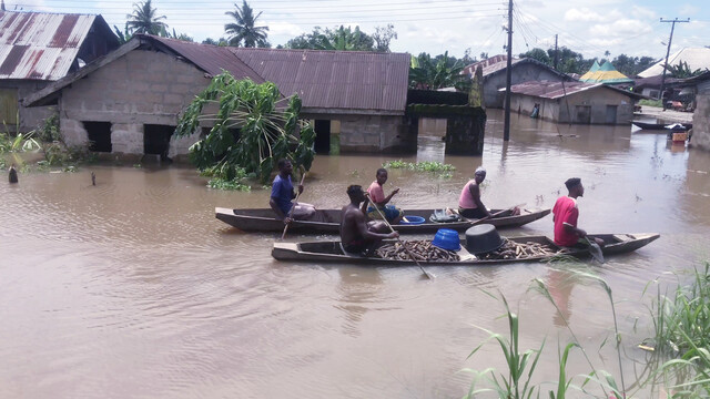 나이지리아 남부 바이엘사주 주민들이 지난 10월 20일(현지시각) 폭우로 침수된 주거지역 도로를 카누로 이동하고 있다. 바이엘사/AP 연합뉴스