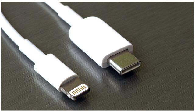 라이트닝 단자(왼쪽)와 USB-C 단자 외양.