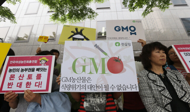 2013년 5월24일 GMO에 반대하는 시민단체 10여 개로 구성된 ‘GMO 반대 생명운동연대’ 회원들이 서울 종로구 몬샌토코리아 본사 앞에서 기자회견을 열었다. 한겨레 신소영 기자