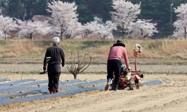 [단독] 전국 농지 28%는 ‘관외 거주자’ 소유…부산·인천·서울 순 비율 높아
