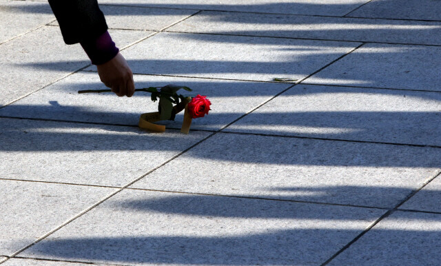 12월9일 한 시민이 서울 여의도 국회 본청 앞에 떨어진 장미꽃을 줍고 있다. 이날 참여연대와 환경운동연합 등 시민단체 회원들은 박근혜 대통령 탄핵소추안 가결에 동참해달라며 의원들에게 장미꽃을 나눠줬다.