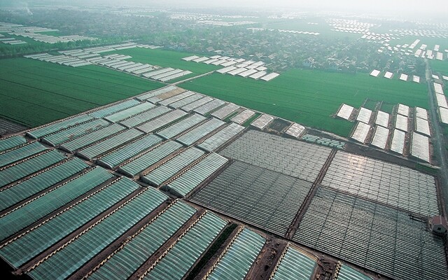 하늘에서 찍은 중국 산둥성 서우광의 에너지제로 비닐하우스 모습(서우광시 제공).