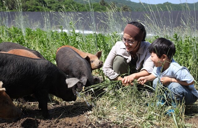 황윤 감독(오른쪽 두 번째)과 아들 도영이 강원도 산골 농장에서 키우는 돼지를 지켜보고 있다. 다큐 영화 <잡식가족의 딜레마>