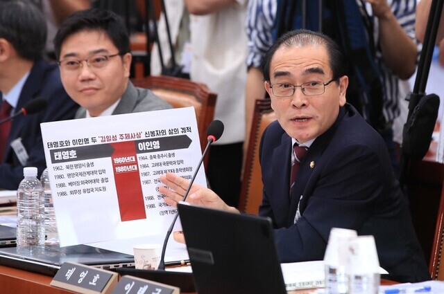 United Future Party lawmaker Thae Yong-ho questions Lee In-young, nominee to become the next unification minister, during Lee’s confirmation hearing by the National Assembly’s Foreign Affairs and Unification Committee on July 23. (Yonhap News)