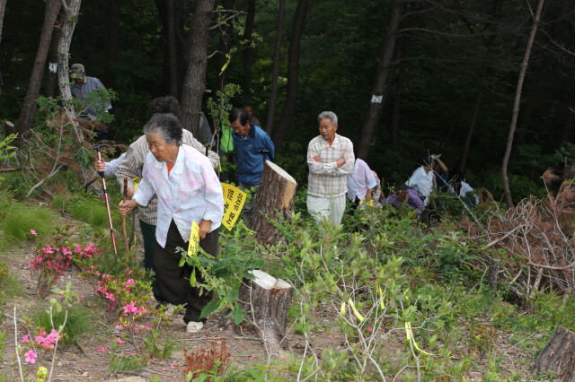 2012년 송전탑 공사를 막으려고 산길을 오르는 노인들. 류우종 기자