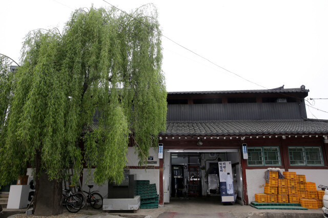 Jipyeong Brewery in Yangpyeong County